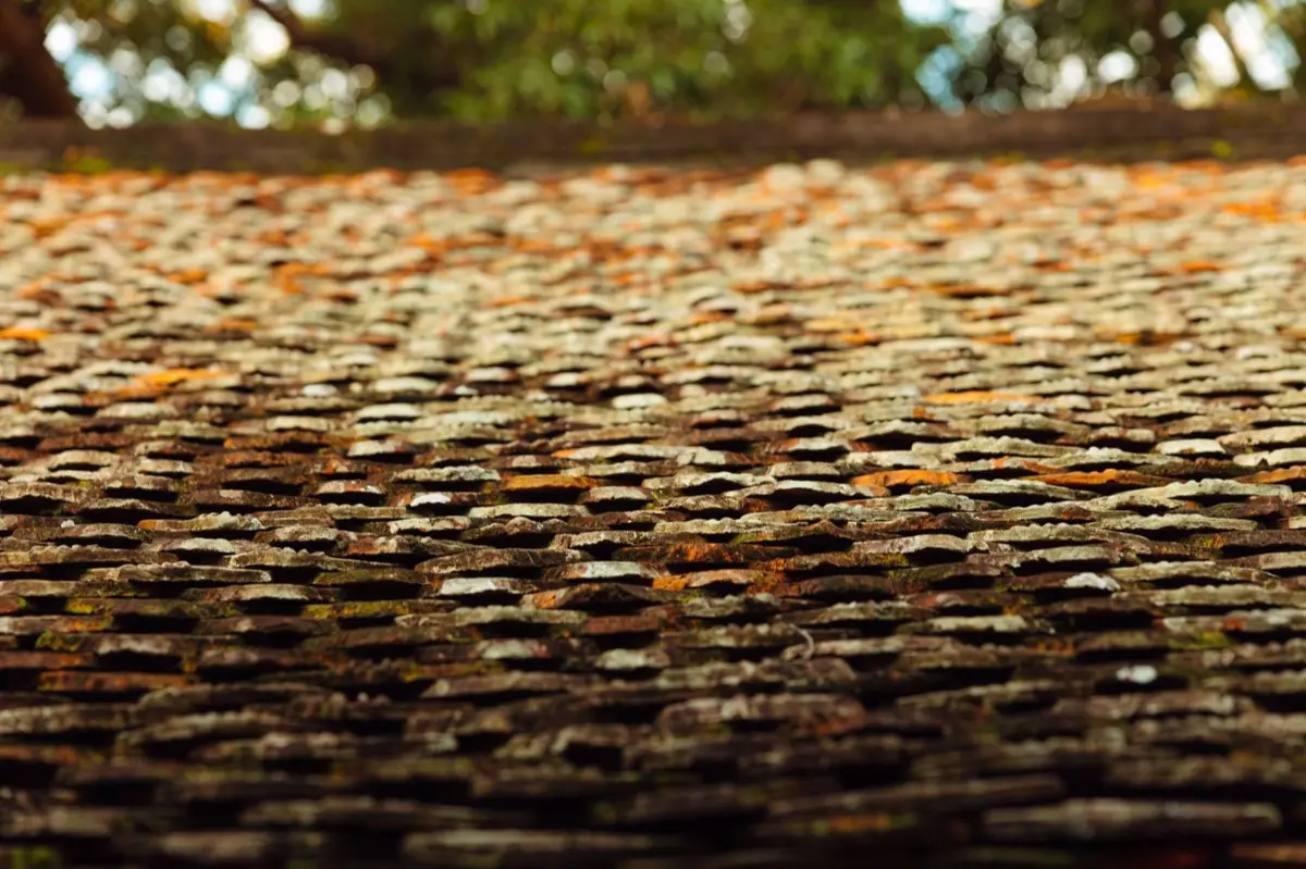 Aging shingle roof with moss growth and granule loss in Lafayette, LA